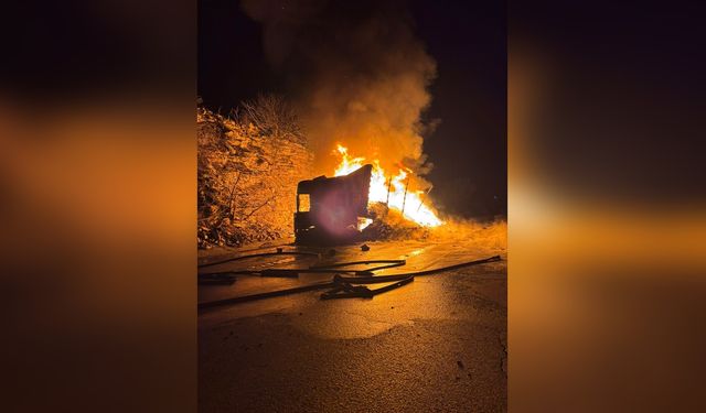 Tekstil Yükü Taşıyan TIR Yangında Kül Oldu