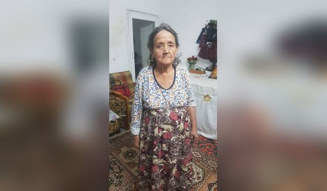 Alzheimer Hastası Babaanne ve İki Torunu Kayıp