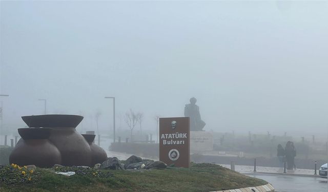 Edirne'de Yoğun Sis Etkili Oluyor: Görüş Mesafesi 50 Metreye Düştü