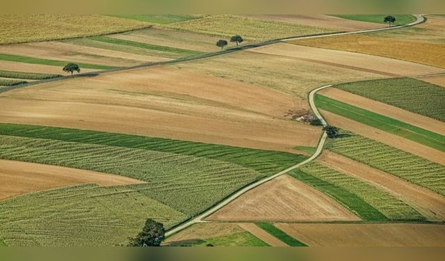 Çiftçilere Tarımsal Destek Ödemeleri Yapıldı