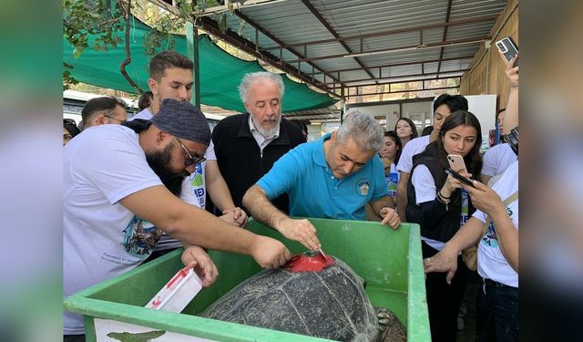 Caretta Caretta Belgeseli, İki Ayda İki Bin İzleyiciye Ulaştı