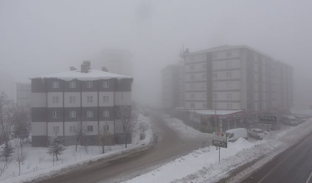 Bitlis'teki 28 Köy Yolu Kar Engeli Aşıldı