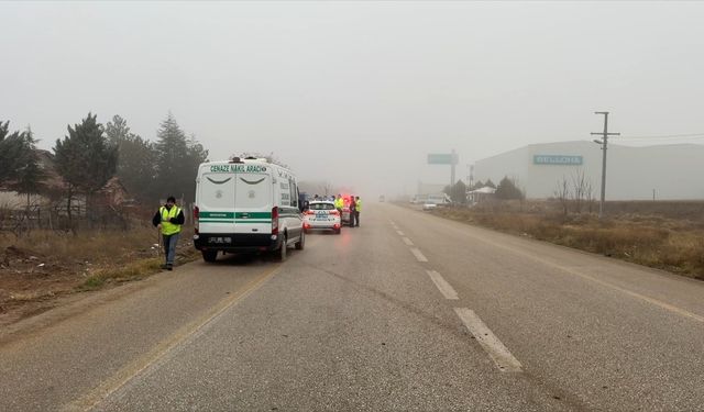 Kamyonet Çarpması Sonucu Yaya Hayatını Kaybetti