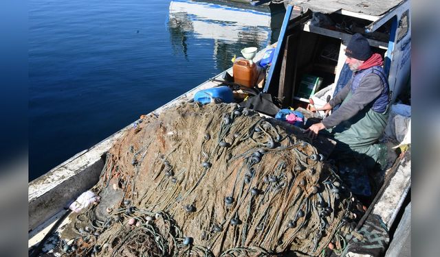 Marmara Denizi'nde Müsilaj Sorunu Balıkçılığı Tehdit Ediyor