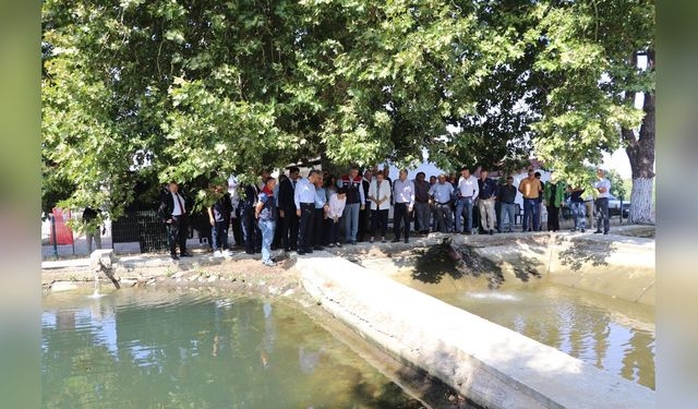 Edirne'de Sazan Balığı Yavrusu Üretiminde Rekor Kırıldı