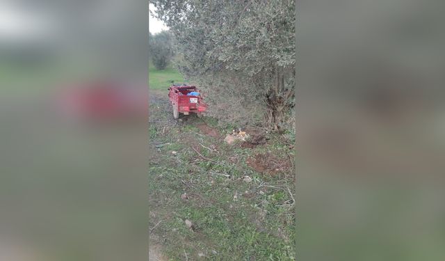 İzmir'de Motosiklet Kazası: İki Kardeş Hayatını Kaybetti