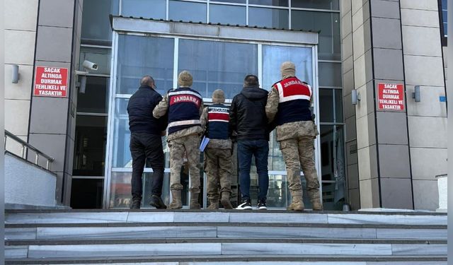 Bitlis'te Kaçak Göçmen Operasyonu: 9 Yakalandı, 4 Tutuklama