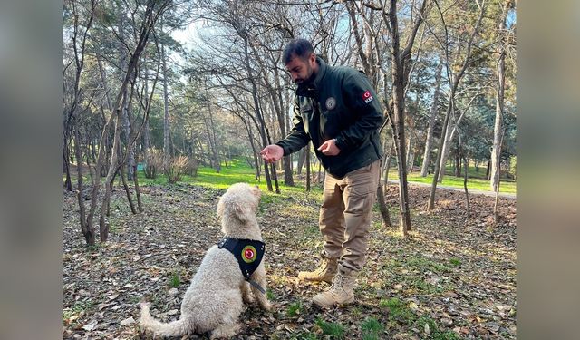 Dedektör Köpekleri ile Uyuşturucu Operasyonu: 4,1 Ton Ele Geçirildi