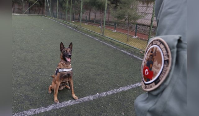 Yurt Dışına Çıkarken Verilen 'Risko' Narkotik Köpeği Uyuşturucu Operasyonlarında Başarı Sağladı