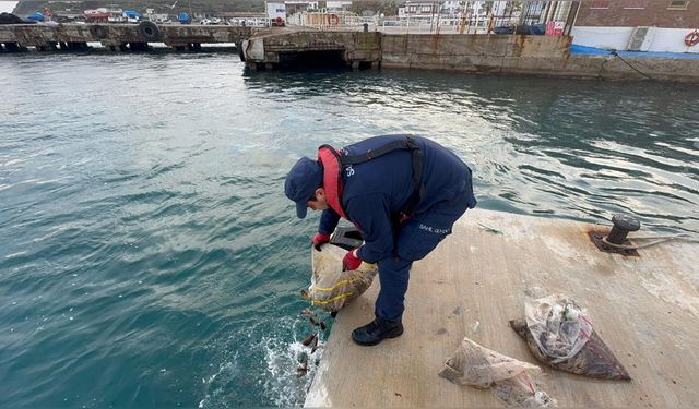 Çanakkale'de Deniz Patlıcanı Operasyonu: 19 Çuval Ele Geçirildi