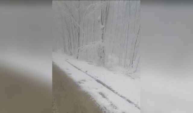 İstanbul'da Kar Yağışı Hayatı Olumsuz Etkiliyor