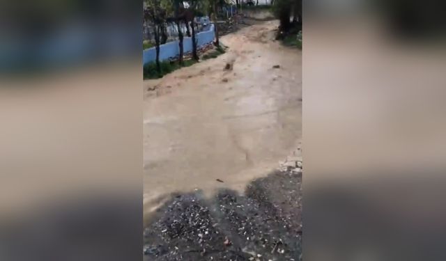 Tokat'ta Yoğun Yağışlar Sel Felaketine Yol Açtı