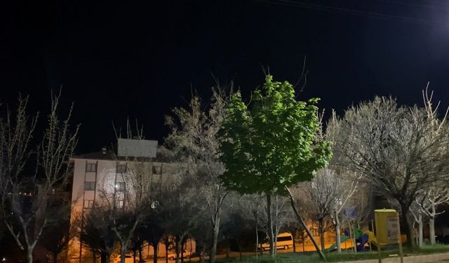 Elazığ'da 4.9 Şiddetinde Deprem Meydana Geldi
