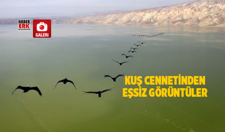 Kuş cennetinden eşsiz görüntüler