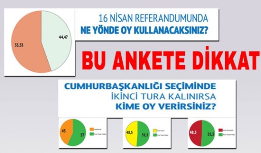 Mart 2017 referandum anketi