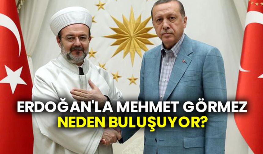 Erdoğan'la Mehmet Görmez neden buluşuyor?