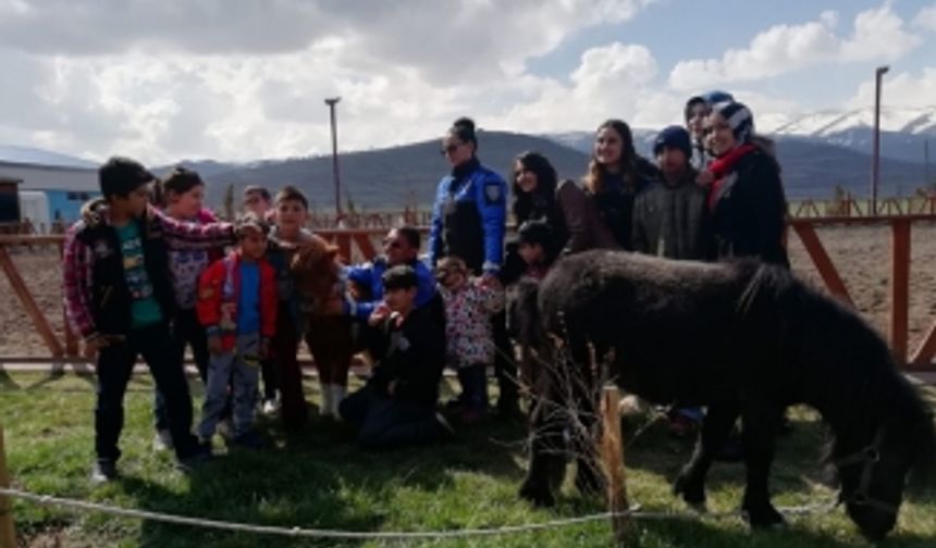 Şehirden uzak bu köyde at yetiştiriliyor