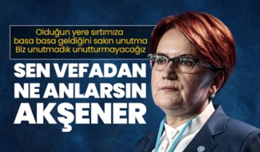 Sen vefadan ne anlarsın Akşener!