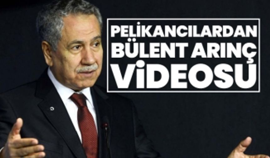 Pelikancılardan Bülent Arınç videosu