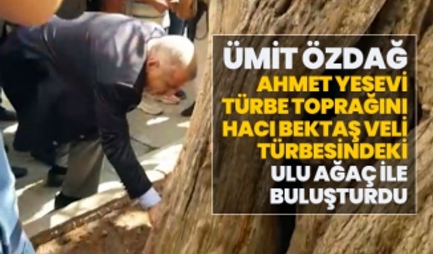 Ümit Özdağ Ahmet Yesevi türbe toprağını,  Hacı Bektaş Veli türbesindeki ulu ağaç ile buluşturdu