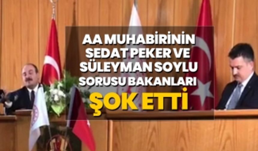 AA muhabirinin Sedat Peker ve  Süleyman Soylu sorusu bakanları şok etti