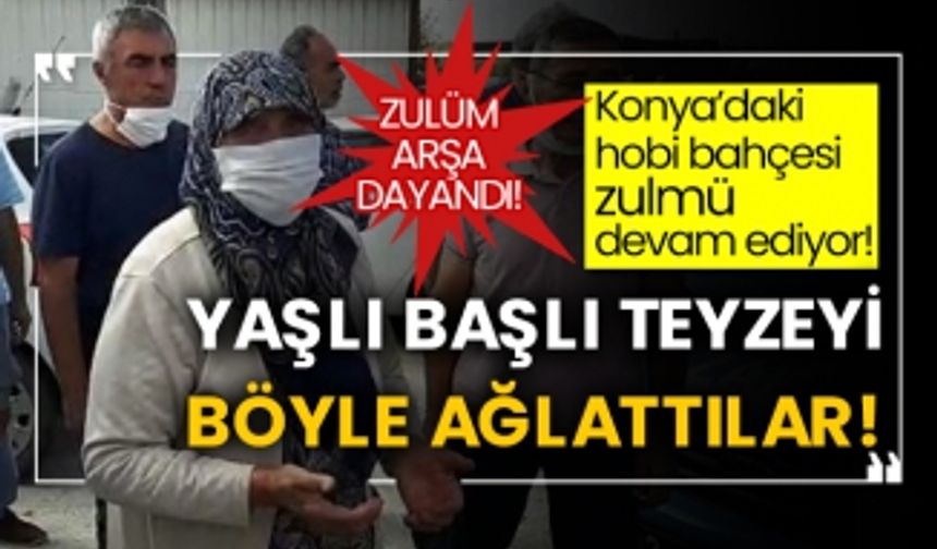 Konya’daki hobi bahçesi zulmü devam ediyor! Zulüm arşa dayandı! Yaşlı başlı teyzeyi böyle ağlattılar!