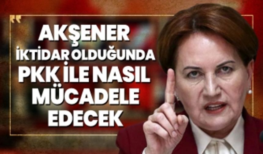 Akşener iktidar olduğunda PKK ile nasıl mücadele edecek?