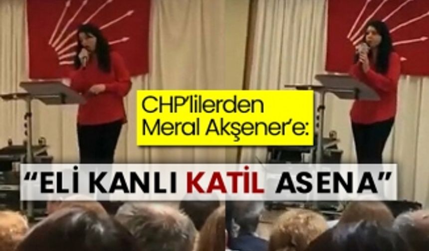 CHP’lilerden Meral Akşener’e: “Eli kanlı katil Asena”