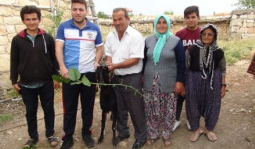 ’’Boynuz kulağı geçti’’ deyimi gerçek oldu