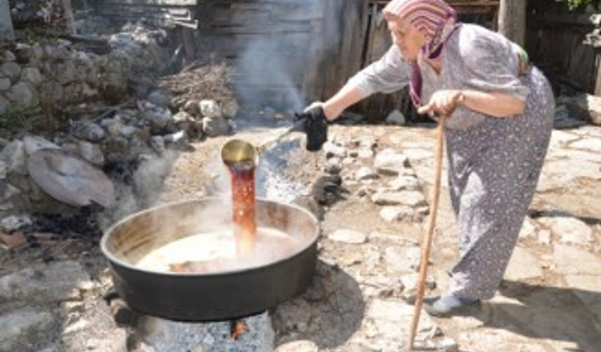 Bu pekmezin lezzeti toprağından geliyor