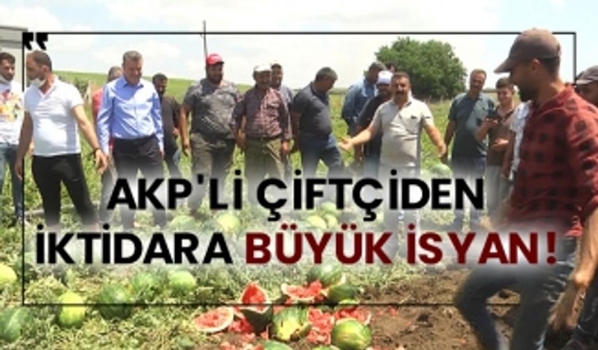 AKP'li çiftçiden iktidara büyük isyan!