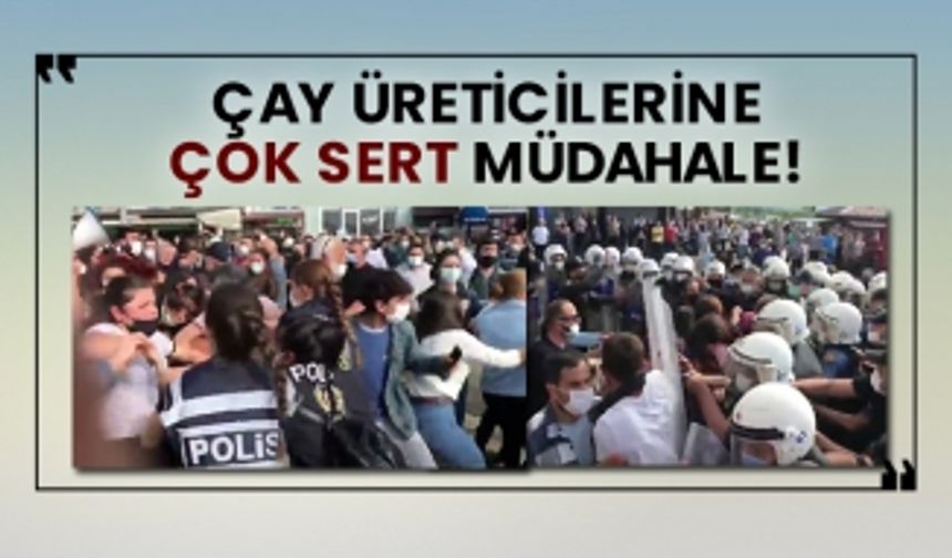 Çay üreticilerine çok sert müdahale!