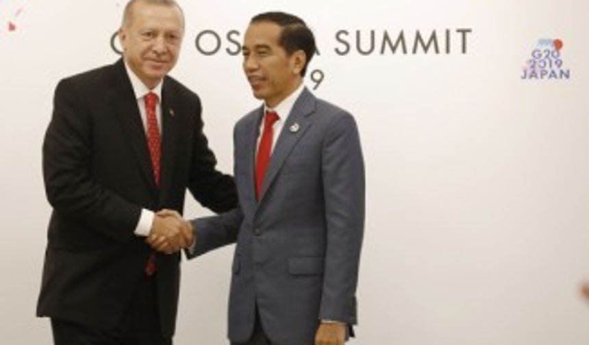 Cumhurbaşkanı Erdoğan, Endonezya Devlet Başkanı Widodo ile görüştü