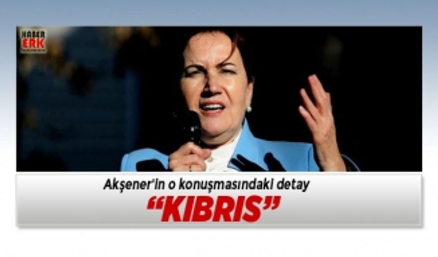 Akşener'in o konuşmasındaki detay "Kıbrıs"