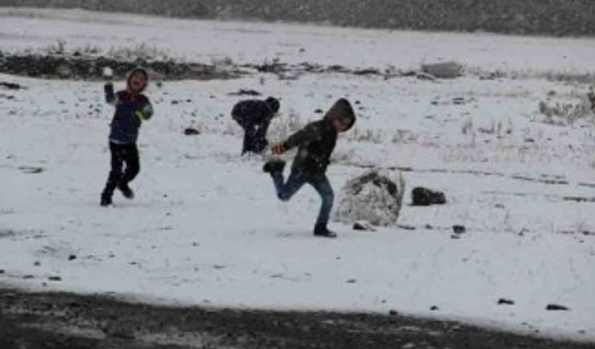 Doğu Anadolu’da kar yağışı etkili oldu