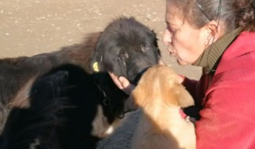 Doğuştan gözleri olmayan köpeğe evladı gibi bakıyor