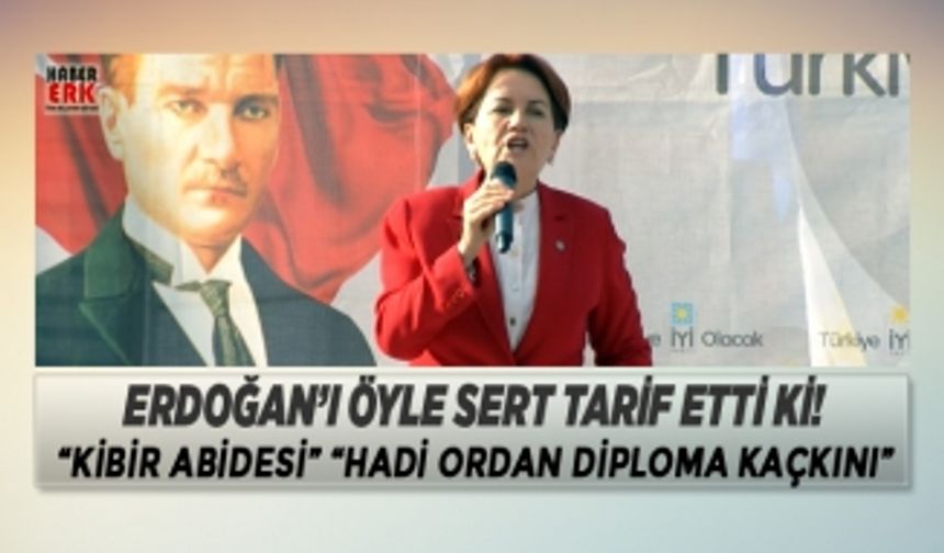 Akşener, Erdoğan’ı öyle sert tarif etti ki!