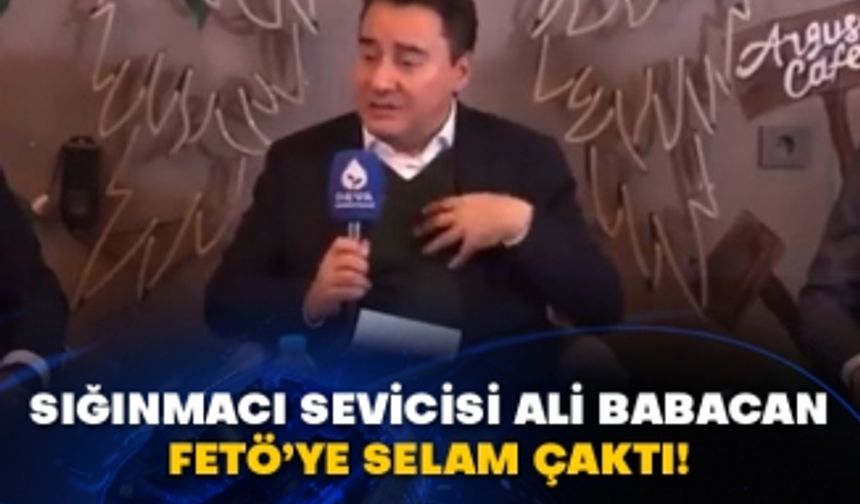 Sığınmacı sevicisi Ali Babacan FETÖ’ye selam çaktı!