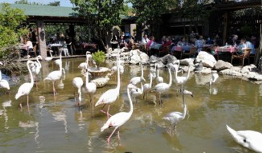 Flamingolu Köy" Anneler Günü’nde ziyaretçi akınına uğradı