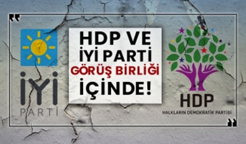 HDP ve İYİ Parti görüş birliği içinde!