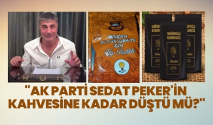 İsmail Saymaz "AK Parti Sedat Peker'in kahvesine kadar düştü mü?"