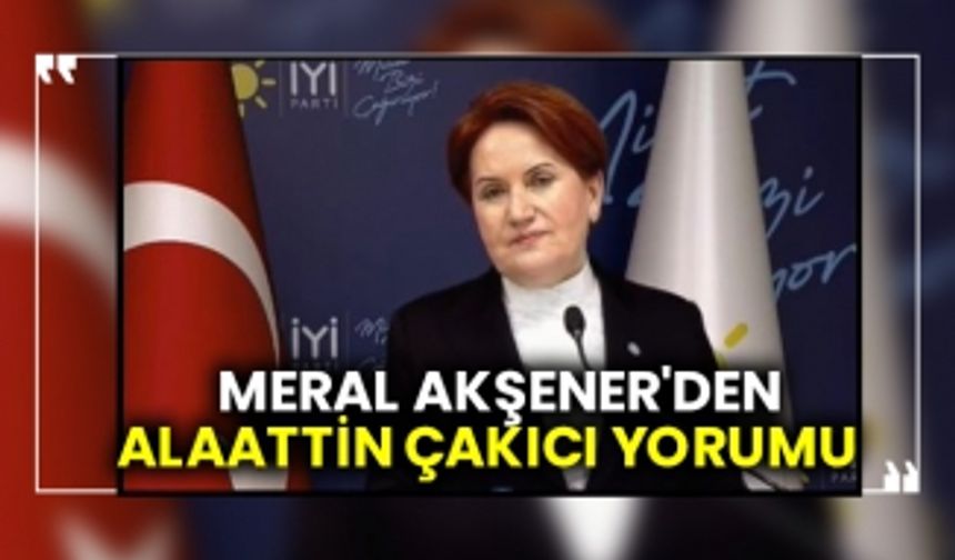 İYİ Parti lideri Meral Akşener'den Alaattin Çakıcı yorumu