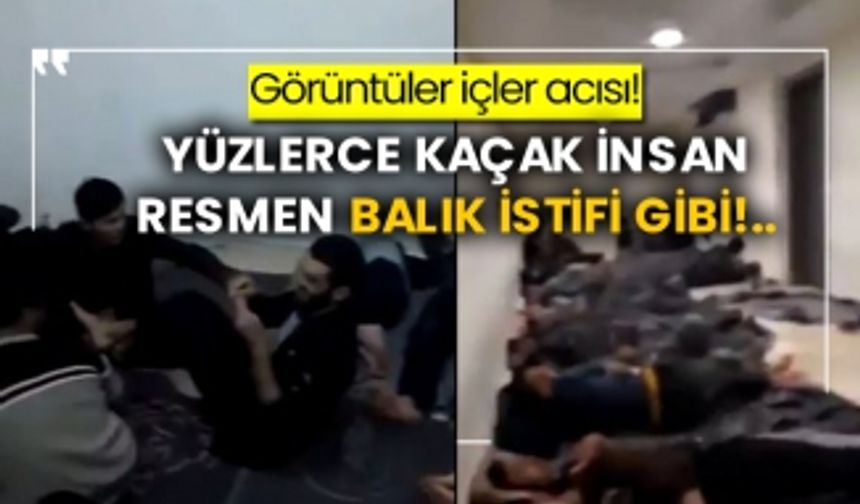 Görüntüler içler acısı! Yüzlerce kaçak insan resmen balık istifi gibi!..