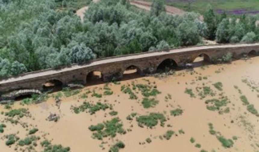 Kral Yolu üzerindeki 2 bin yıllık köprü