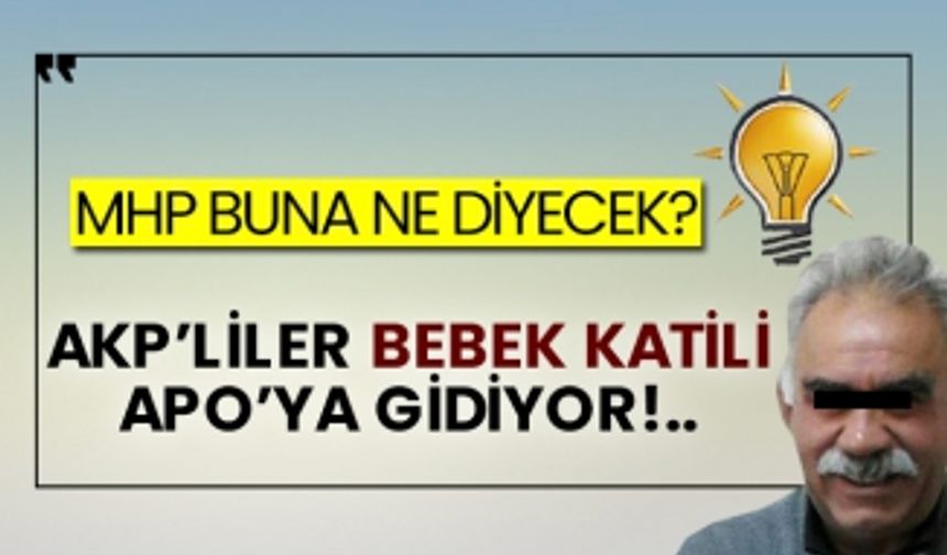 MHP buna ne diyecek? AKP’liler bebek katili Apo’ya gidiyor!..