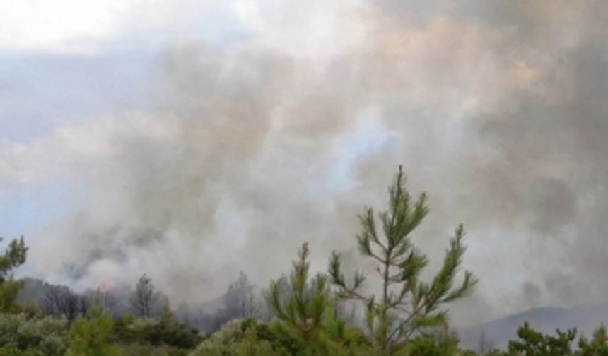 Muğla’da yeni bir orman yangını evleri tehdit ediyor