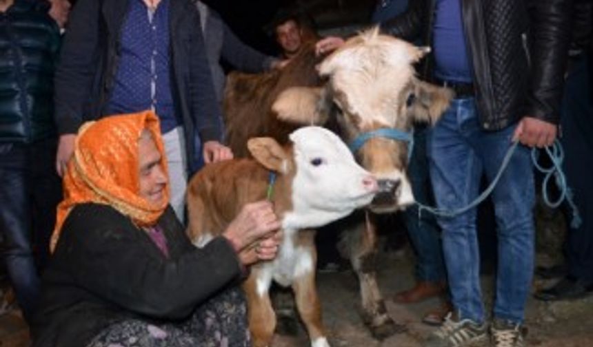 O nine için Bakanlık harekete geçti