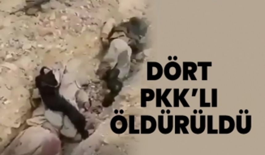 Dört PKK’lı öldürüldü