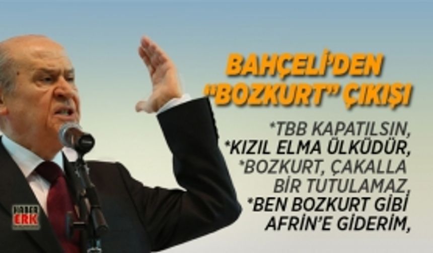 Bahçeli’den "Bozkurt” çıkışı