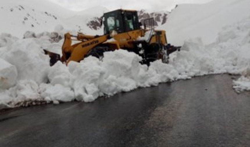 Van-Bahçesaray karayoluna çığ düştü